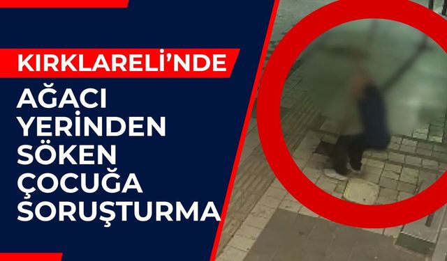 Kırklareli'nde Ağacı Yerinden Söken Çocuğa Soruşturma
