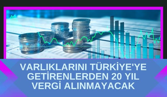 Varlıklarını Türkiye'ye Getirenlerden 20 Yıl Vergi Alınmayacak