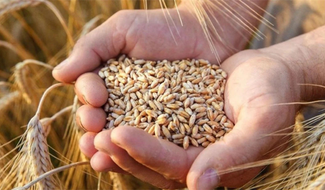 Buğday Ve Arpa Fiyatları Açıklandı