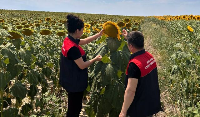 Pehlivanköy’de Fenolojik Gözlem Çalışmaları Sürüyor