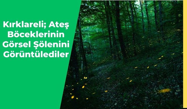 Kırklareli; Ateş Böceklerinin Görsel Şölenini Görüntülediler