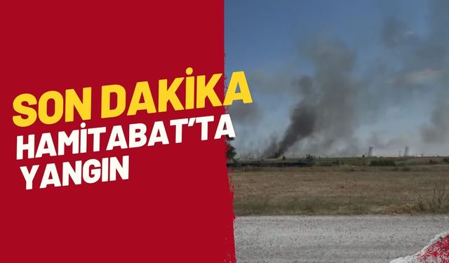 SON DAKİKA; Hamitabat’ta Yangın