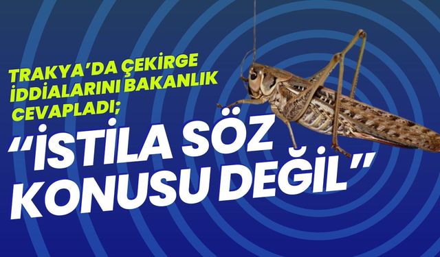 Trakya’da Çekirge İddialarını Bakanlık Cevapladı; “İstila Söz Konusu Değil”