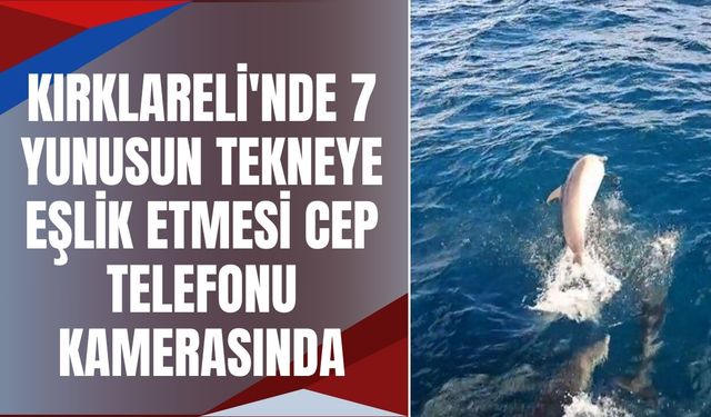 Kırklareli'nde 7 Yunusun Tekneye Eşlik Etmesi Cep Telefonu Kamerasında