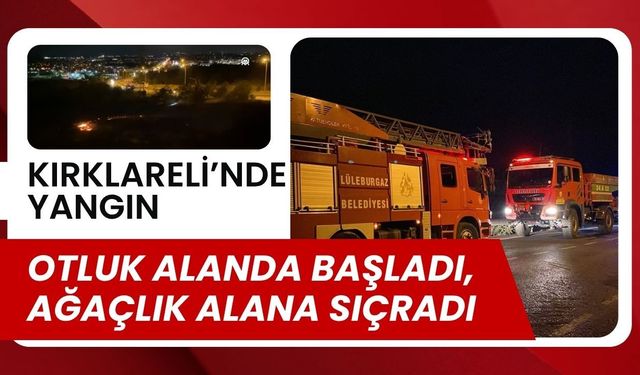 KIRKLARELİ'NDE YANGIN; Otluk Alanda Başladı, Ağaçlık Alana Sıçradı
