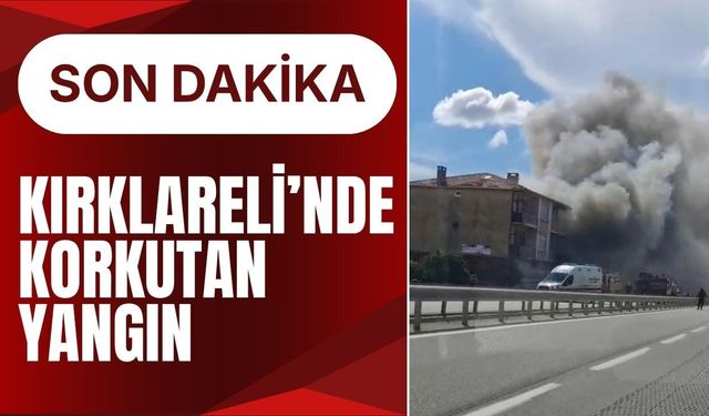 SON DAKİKA; Kırklareli’nde Korkutan Yangın