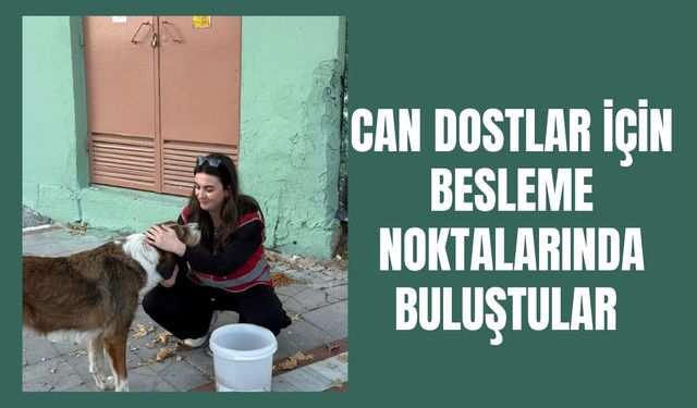 Can Dostlar İçin Besleme Noktalarında Buluştular