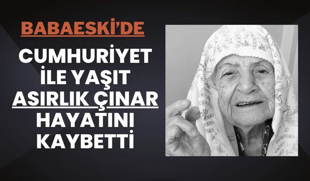 Babaeski'de Cumhuriyet İle Yaşıt Asırlık Çınar Hayatını Kaybetti