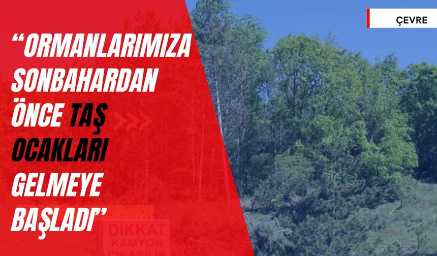 “Ormanlarımıza Sonbahardan Önce Taş Ocakları Gelmeye Başladı”