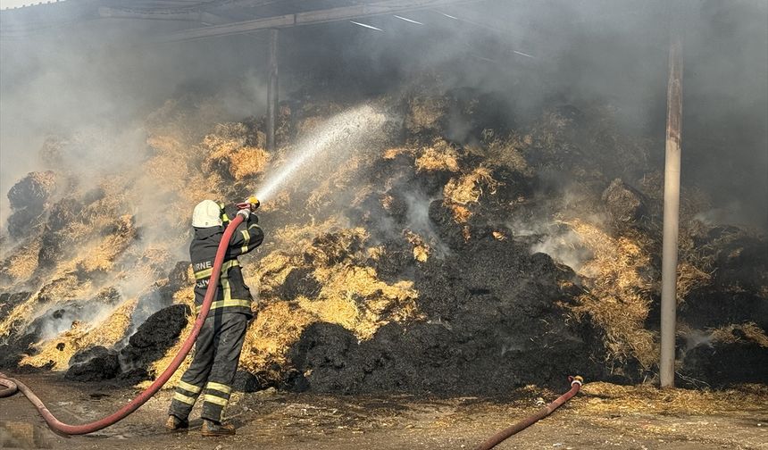 Edirne'de Çiftlikte Çıkan Yangın Söndürüldü