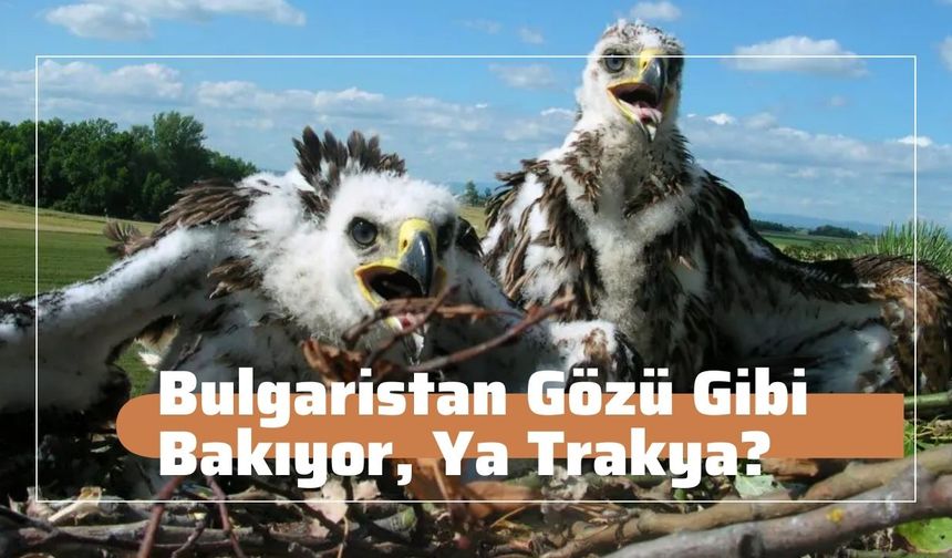 Bulgaristan Gözü Gibi Bakıyor, Ya Trakya?