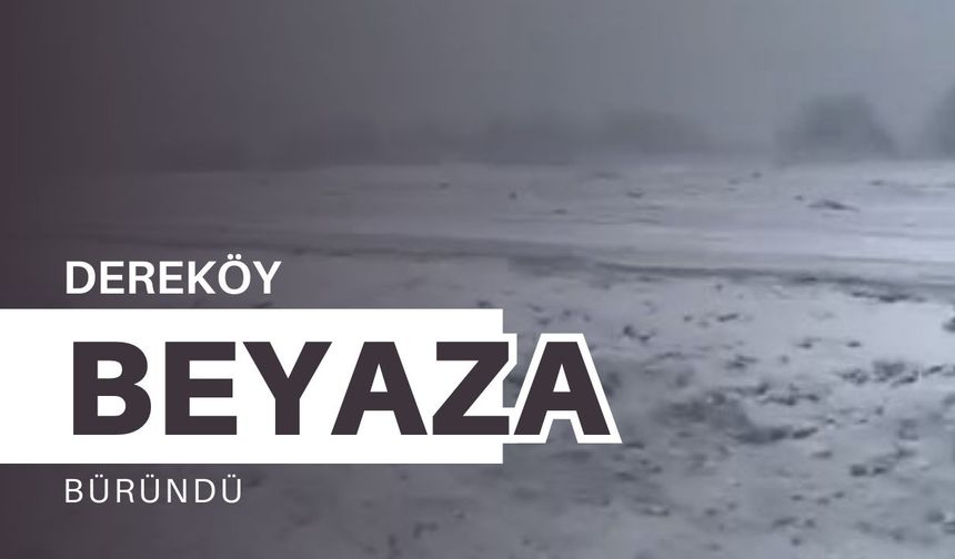 Dereköy Beyaza Büründü