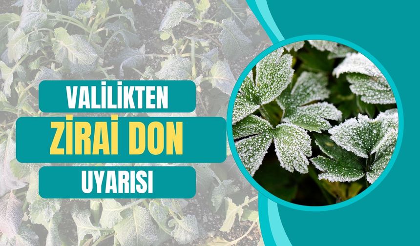 Valilikten “Zirai Don” Uyarısı
