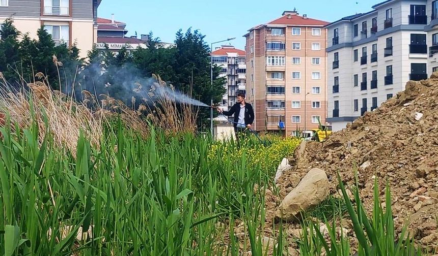 Sivrisineklere Karşı Vatandaşlara Çağrı