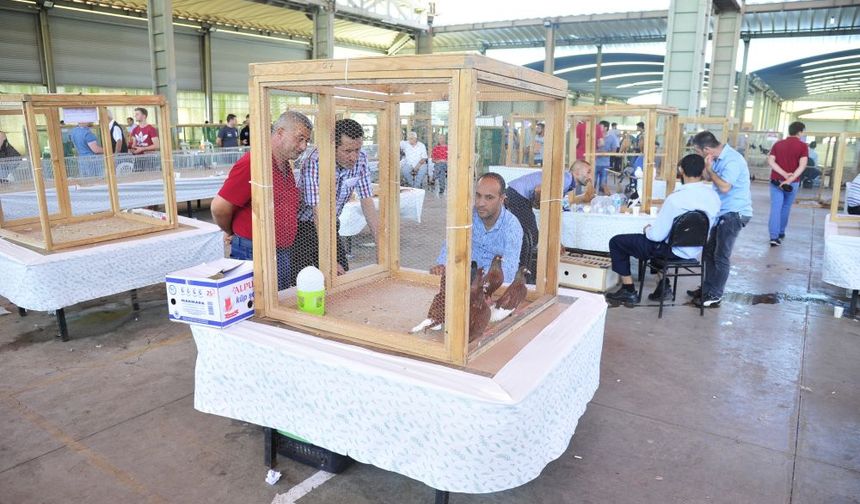 LÜLEBURGAZ; Kürklü Kanatlı Hayvanlar Festivali 29 Haziran’da