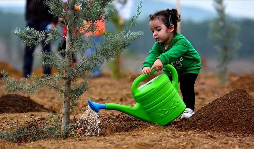 7’den 70’e Herkes Bu Yıl Da “Orman Benim” Diyecek