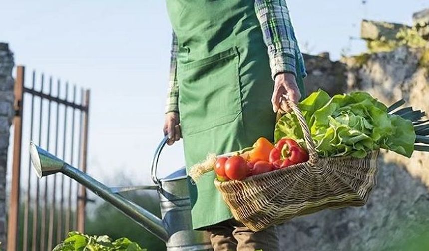 “Tarım Cazip Hale Getirilmeden Fiyatlar Düşmez”