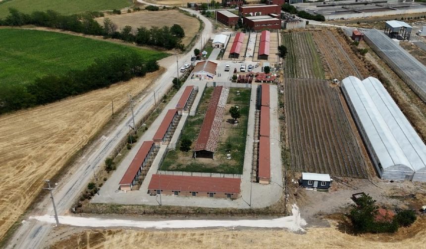 LÜLEBURGAZ; Hayvanlar İçin Yaşam Alanları Büyütülüyor