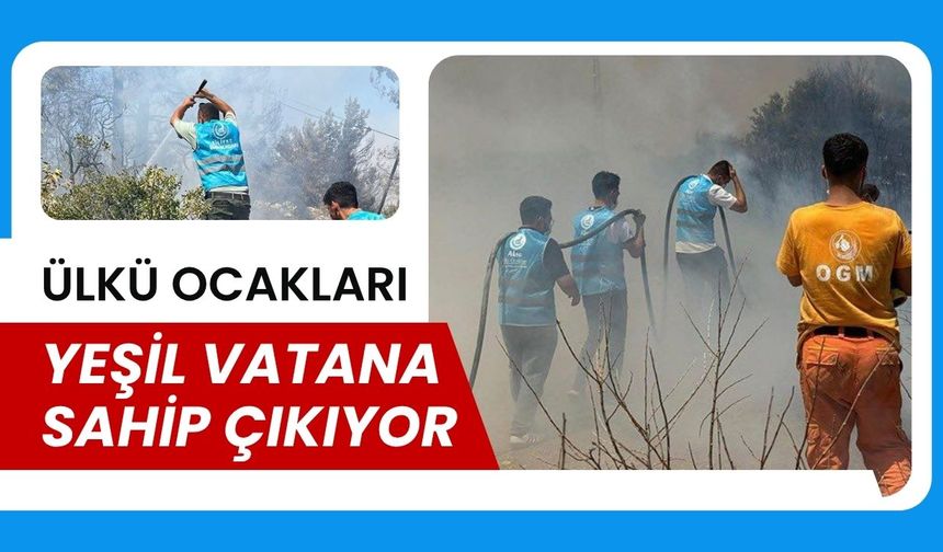 Ülkü Ocakları Yeşil Vatana Sahip Çıkıyor