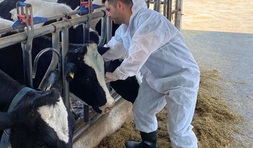Kırklareli’nde Arilik Çalışmaları Devam Ediyor