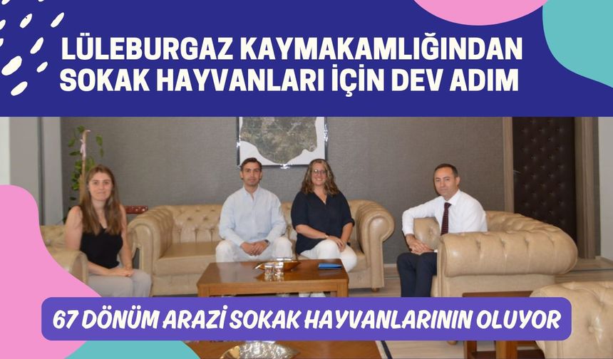 LÜLEBURGAZ; 67 Dönüm Arazi Sokak Hayvanlarının Oluyor