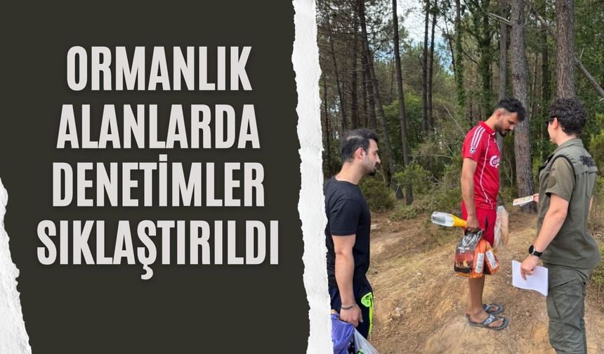 Ormanlık Alanlarda Denetimler Sıklaştırıldı