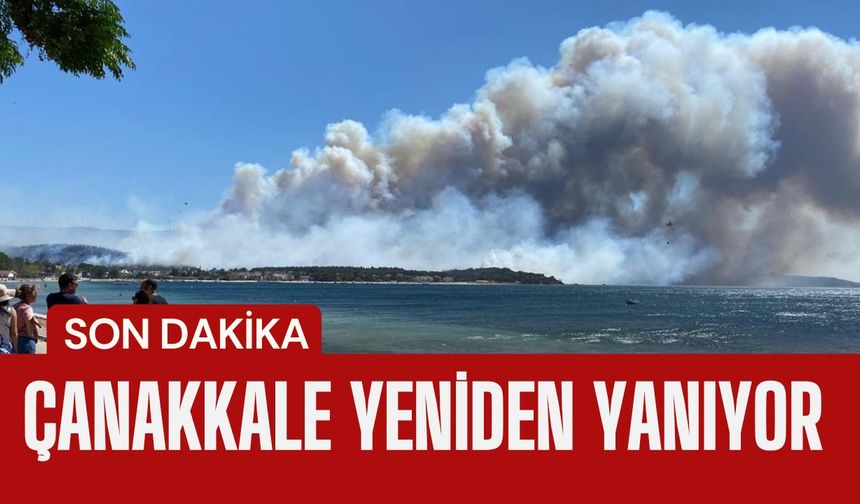 Çanakkale'de Yeniden Yanıyor