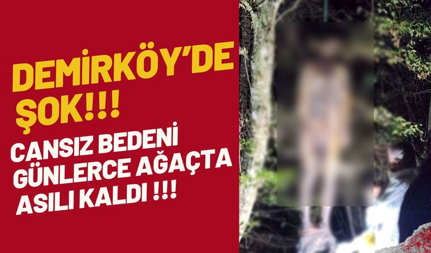 DEMİRKÖY’DE ŞOK; Cansız Bedeni Günlerce Ağaçta Asılı Kaldı