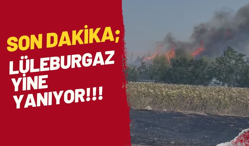 SON DAKİKA; Lüleburgaz Yine Yanıyor