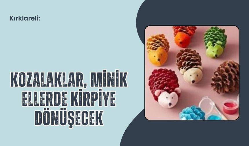 Kırklareli: Kozalaklar, Minik Ellerde Kirpiye Dönüşecek