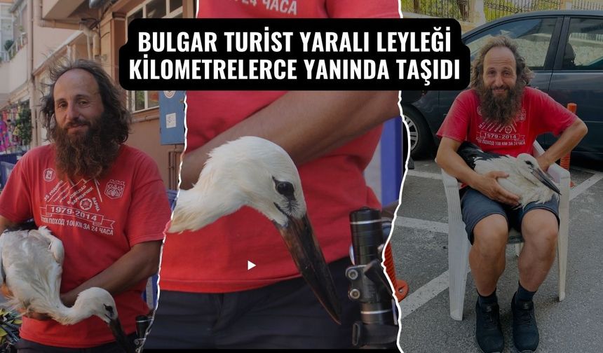 Bulgar Turist Yaralı Leyleği Kilometrelerce Yanında Taşıdı