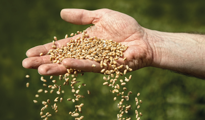 Lüleburgaz’da Tohum Takas Şenliği Düzenlenecek