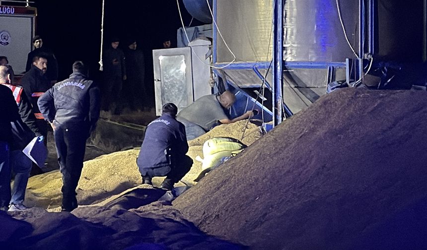 Çeltik Kurutma Makinesi İçinde Ölü Bulundu