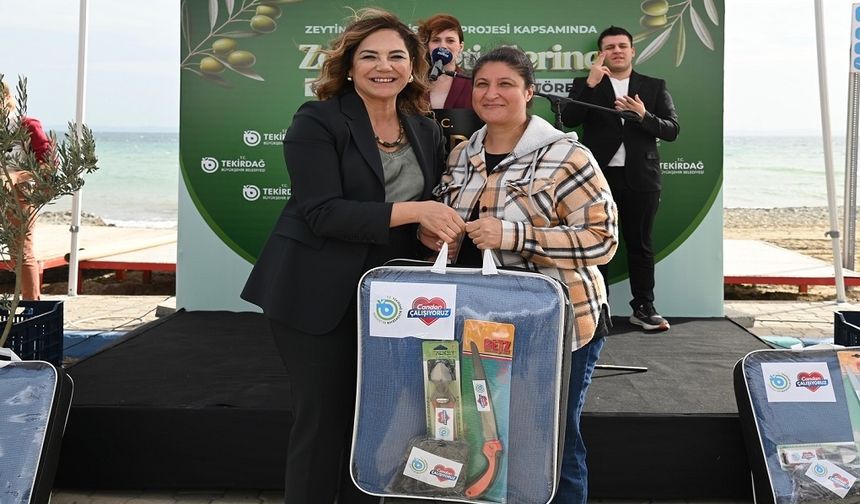 Büyükşehir'den Zeytin Üreticilerine Destek