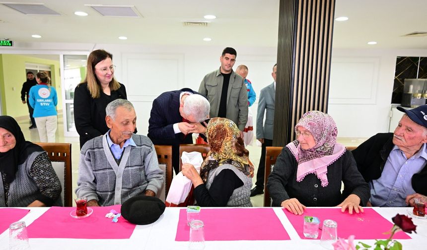 Bir Yastıkta Yarım Asır
