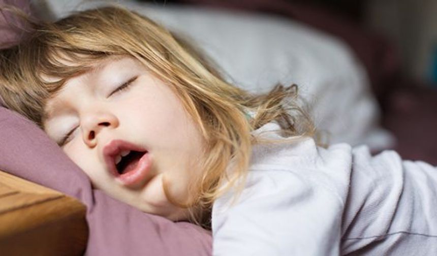 Geniz Eti Büyümesi Son Yıllarda Hızla Yaygınlaşıyor!