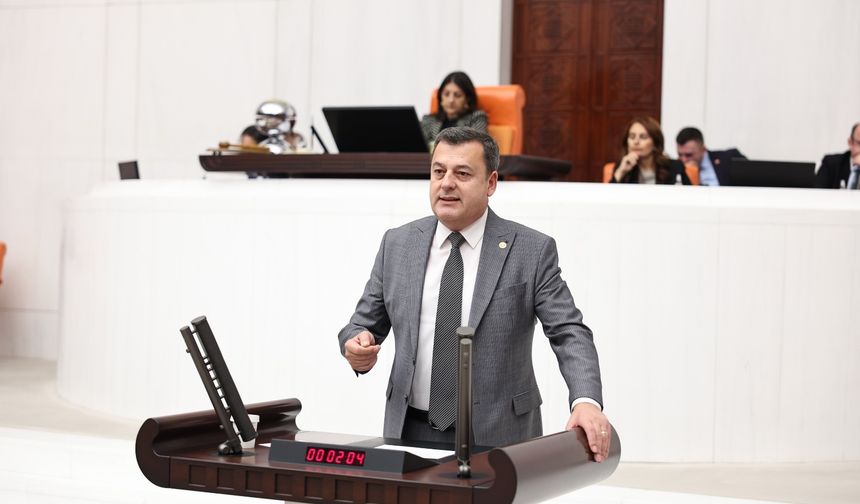 Gündoğdu; “Longozların, Istrancaların Yok Olacağının Farkında Mısınız?"