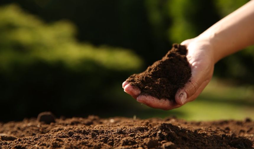 Sağlıklı Kentler İçin, Sağlıklı Topraklara İhtiyacımız Var!