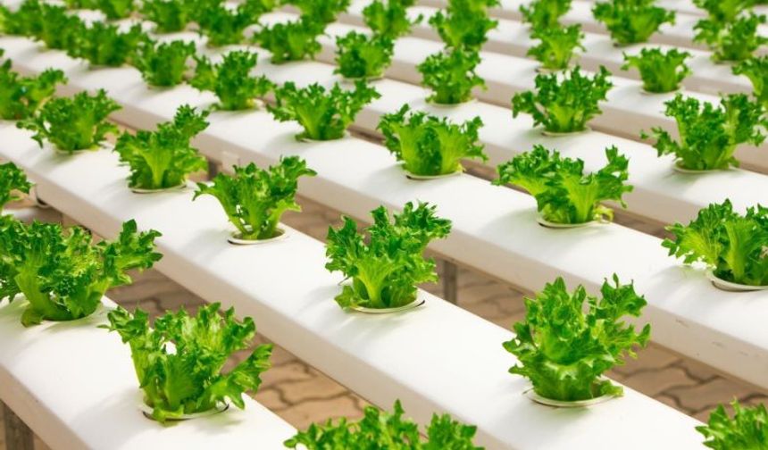 Halk Eğitim Merkezinde Kurslar Devam Ediyor