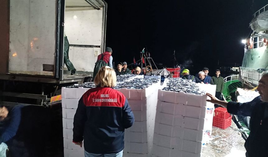 Kırklareli’nde Kaçak Avcılığa Yönelik Denetimler Devam Ediyor