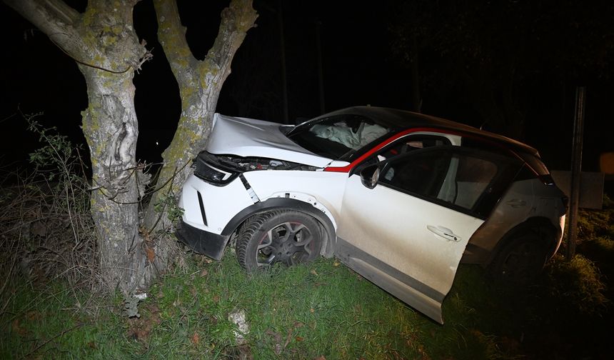 Edirne: Ağaca Çarptı; 3 Yaralı