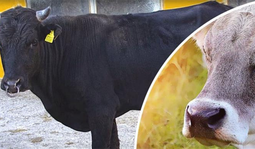 Halk Elinde Islah Projeleri"ne Toplam 2,7 Milyar Lira Destek Sağlandı