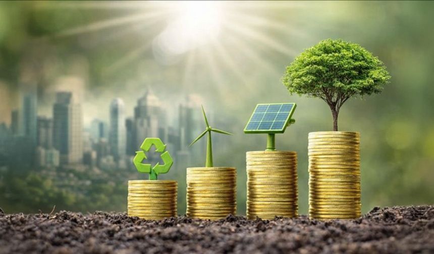 Çevre Korumaya Ne Kadar Harcandı?