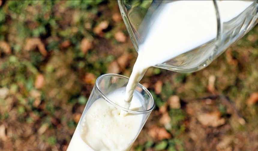 Süt ve Süt Ürünleri Üretimi İstatistikleri Açıklandı