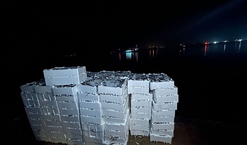 Kırklareli’nde 1 Ton 300 Kilogram İstavrite El Konuldu