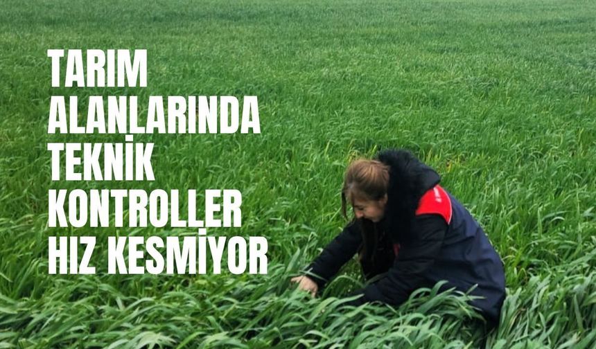Tarım Alanlarında Teknik Kontroller Hız Kesmiyor