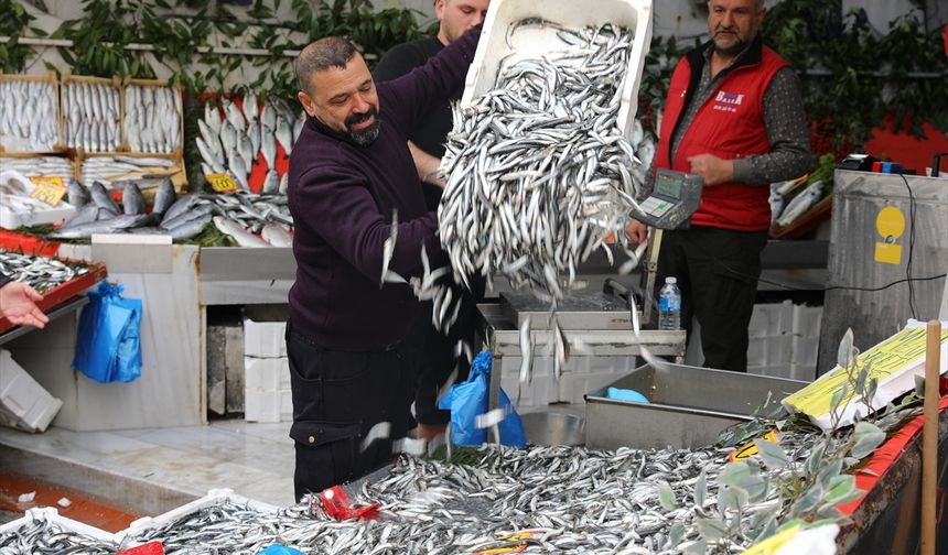 Edirne'de Hamsi 50 Liraya Düştü, Darısı Kırklareli’ne