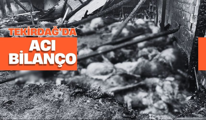 Tekirdağ’da Acı Bilanço