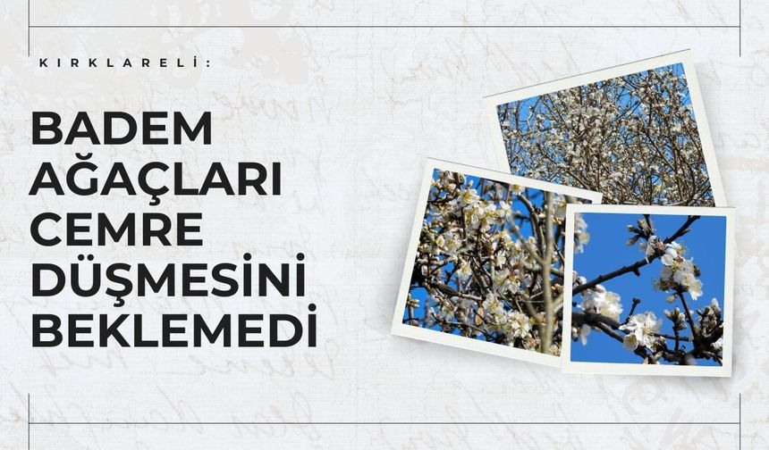 Kırklareli: Badem Ağaçları Cemre Düşmesini Beklemedi