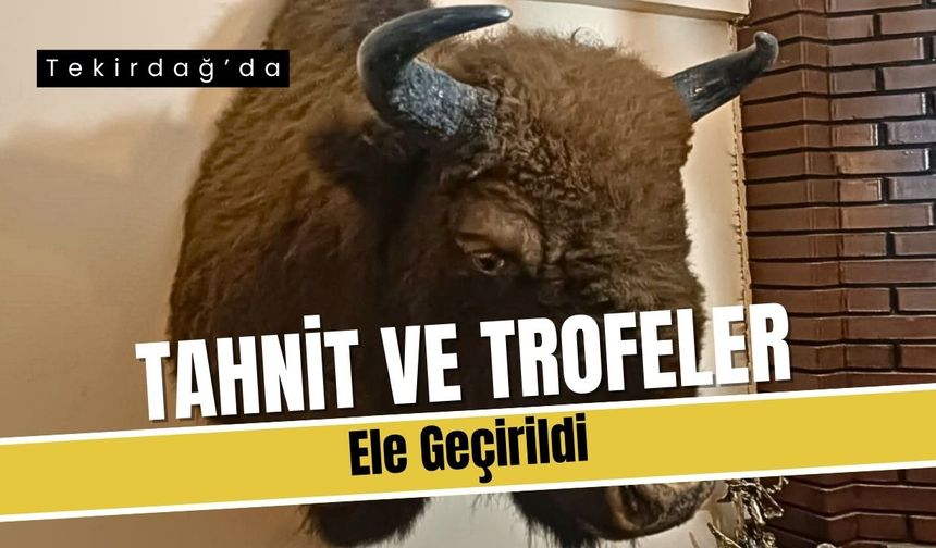 Tekirdağ’da Tahnit ve Trofeler Ele Geçirildi